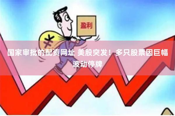 国家审批的配资网址 美股突发!多只股票因巨幅波动停牌