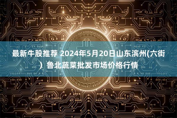 最新牛股推荐 2024年5月20日山东滨州(六街)鲁北蔬菜批发市场价格行情