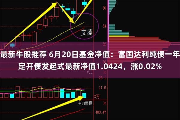 最新牛股推荐 6月20日基金净值:富国达利纯债一年定开债发起式最新净值1.0424,涨0.02%
