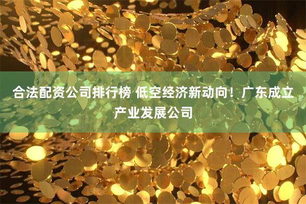 合法配资公司排行榜 低空经济新动向!广东成立产业发展公司