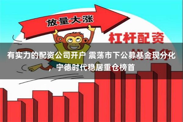 有实力的配资公司开户 震荡市下公募基金现分化,宁德时代稳居重仓榜首