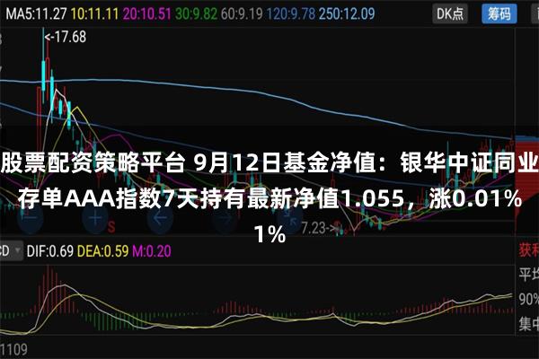 股票配资策略平台 9月12日基金净值:银华中证同业存单AAA指数7天持有最新净值1.055,涨0.01%